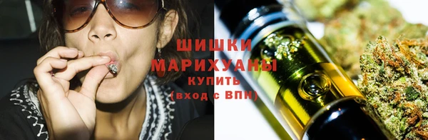 мдпв Вязьма