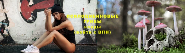 мдпв Вязьма