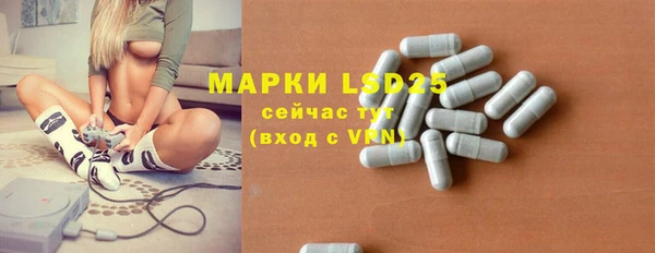 мдпв Вязьма